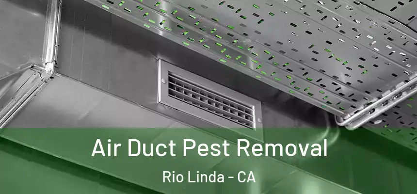  Air Duct Pest Removal Rio Linda - CA