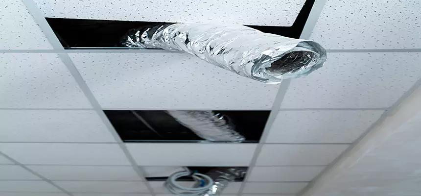 Affordable HVAC Sanitizing After Pest Removal in Rio Linda