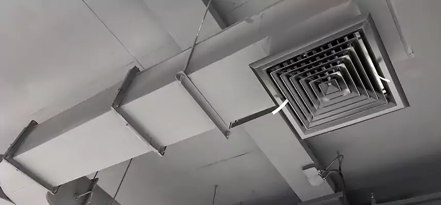 Restorative Allergy Relief Vent Cleaning – Coil, Blower & Housing Detail in Rio Linda