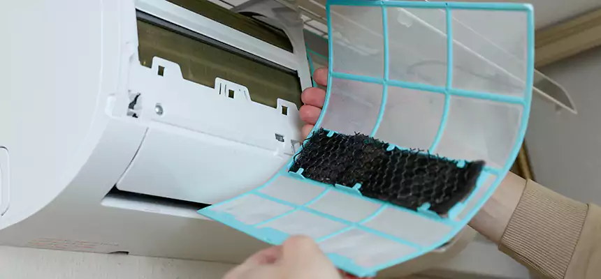 Gentle Ductwork Odor-Control Pet Dander Duct Cleaning in Rio Linda, CA