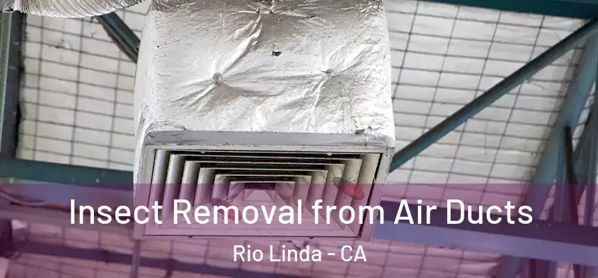  Insect Removal from Air Ducts Rio Linda - CA